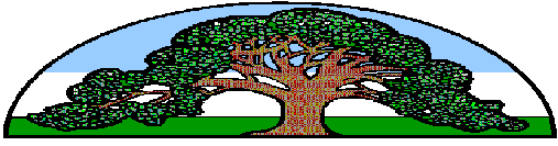 [Cartoon Tree Page Header]