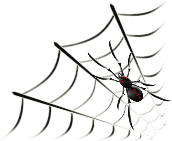 spider web
